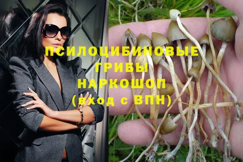 магазин продажи   Слободской  ОМГ ОМГ ссылка  Галлюциногенные грибы Psilocybe 